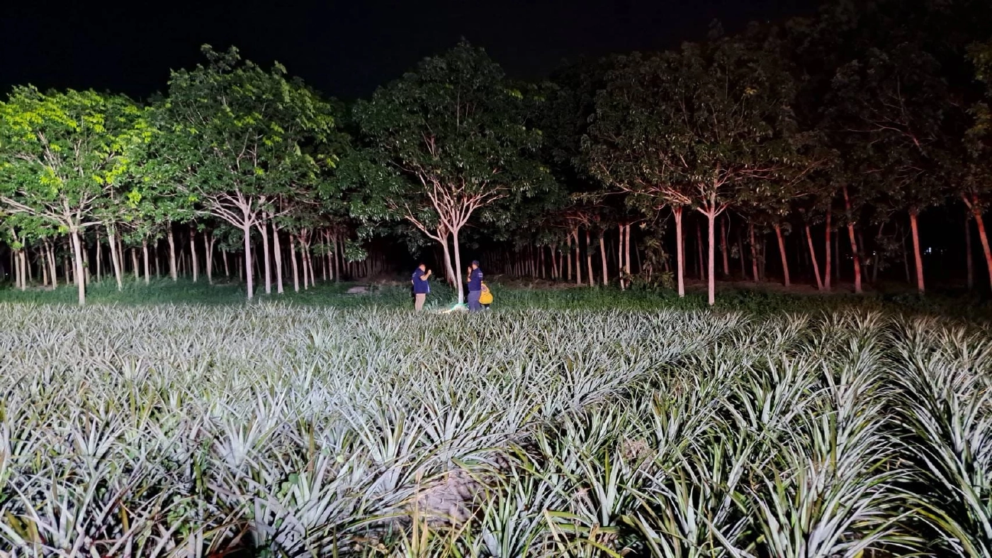 กู้ภัยฯระดมกำลังค้นหายายหลงป่า เดินหลงจนฟุบ ช่วยเหลือตัวเองไม่ได้