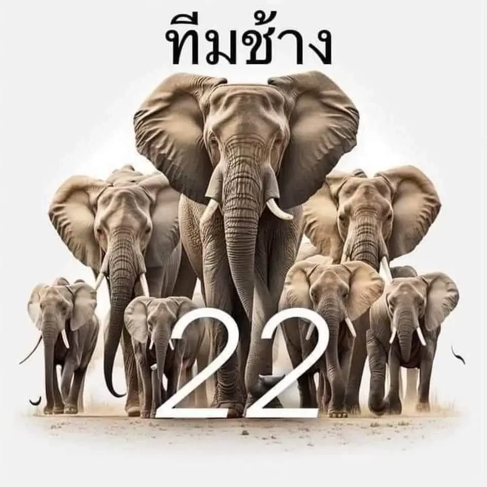 12 ราศีรีบเช็กดวง โหรรัตนโกสินทร์เตือน หลังดาวแดงย้ายราศีเป็นดวงสุดท้าย  