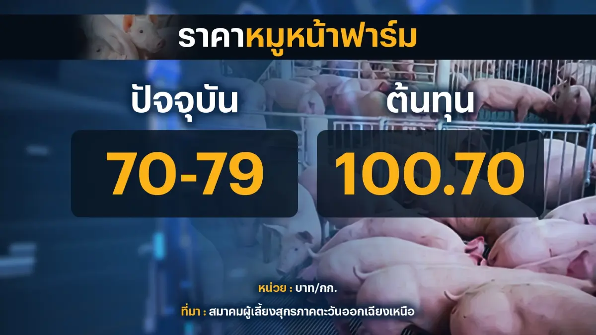 เกษตรกรจี้ภาครัฐตรวจเข้มห้องเย็นสกัดนำเข้า  'หมูเถื่อน '