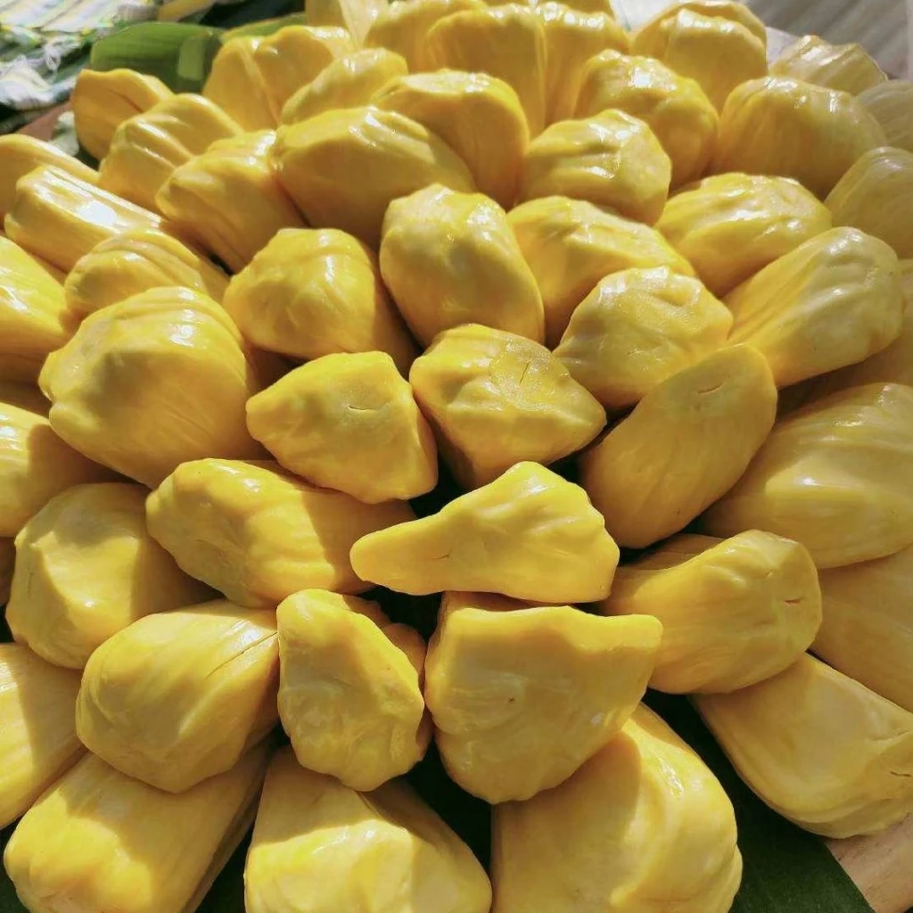 “ขนุนหนองเหียงชลบุรี” ขึ้นทะเบียน GI  โกยเงินเข้าชุมชนกว่า 850 ล้านบาทต่อปี