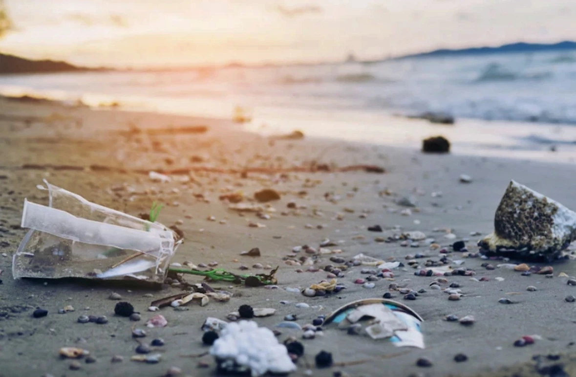 ไม่ต้องรอ 100 ปี! นักวิจัยออสเตรเลียพบเชื้อราลดเวลาย่อยพลาสติกได้ใน 140 วัน