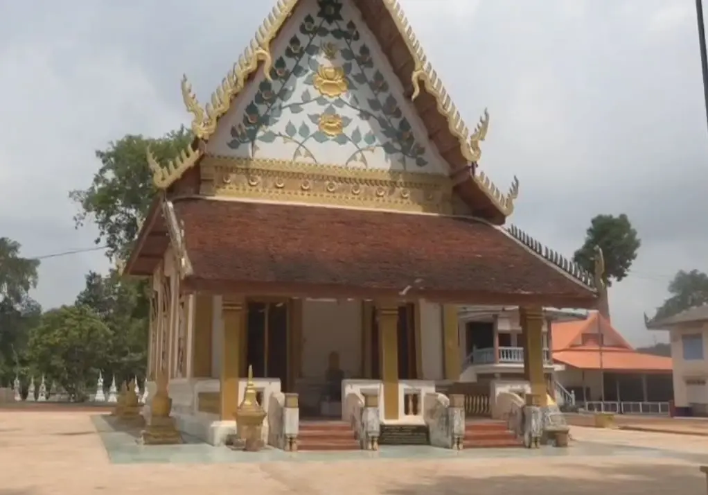 แมลงปีกแข็งบุกโบสถ์เก่าแก่อายุมากกว่า 200 ปี วัด จ.ปราจีนบุรี