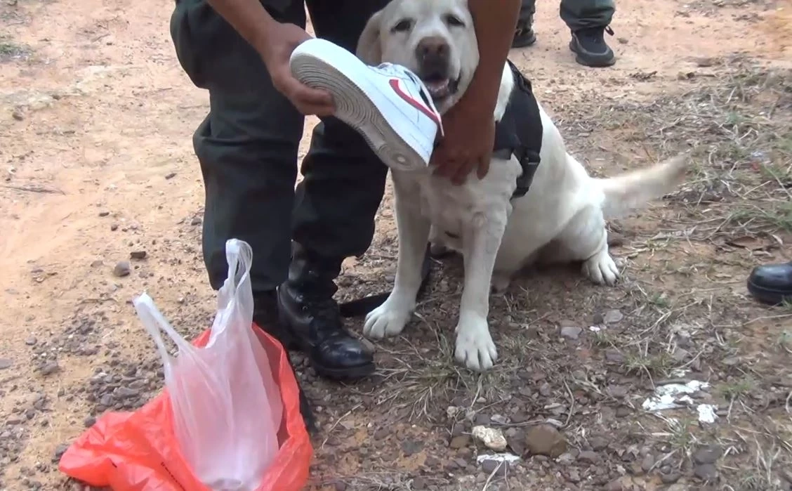 ตชด. พร้อมสุนัขดมกลิ่น ปูพรมค้นหาน้องปิงปอง ยังไม่ทราบชะตากรรม