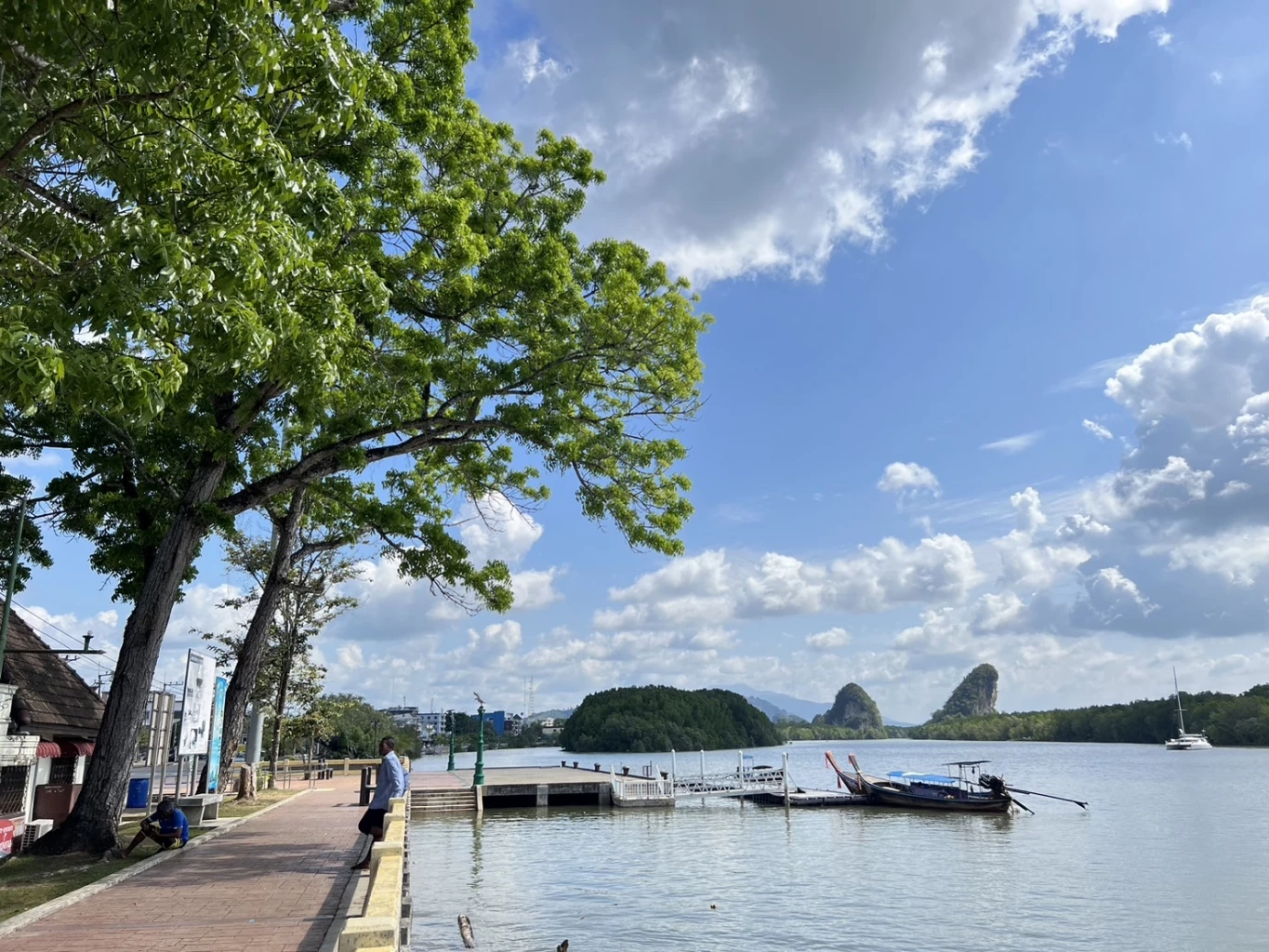 เปิดโปง ออกโฉนดมิชอบ ป่าชายเลนกระบี่  11 ไร่ ประกาศขาย 122 ล้าน