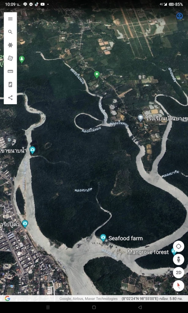 เปิดโปง ออกโฉนดมิชอบ ป่าชายเลนกระบี่  11 ไร่ ประกาศขาย 122 ล้าน