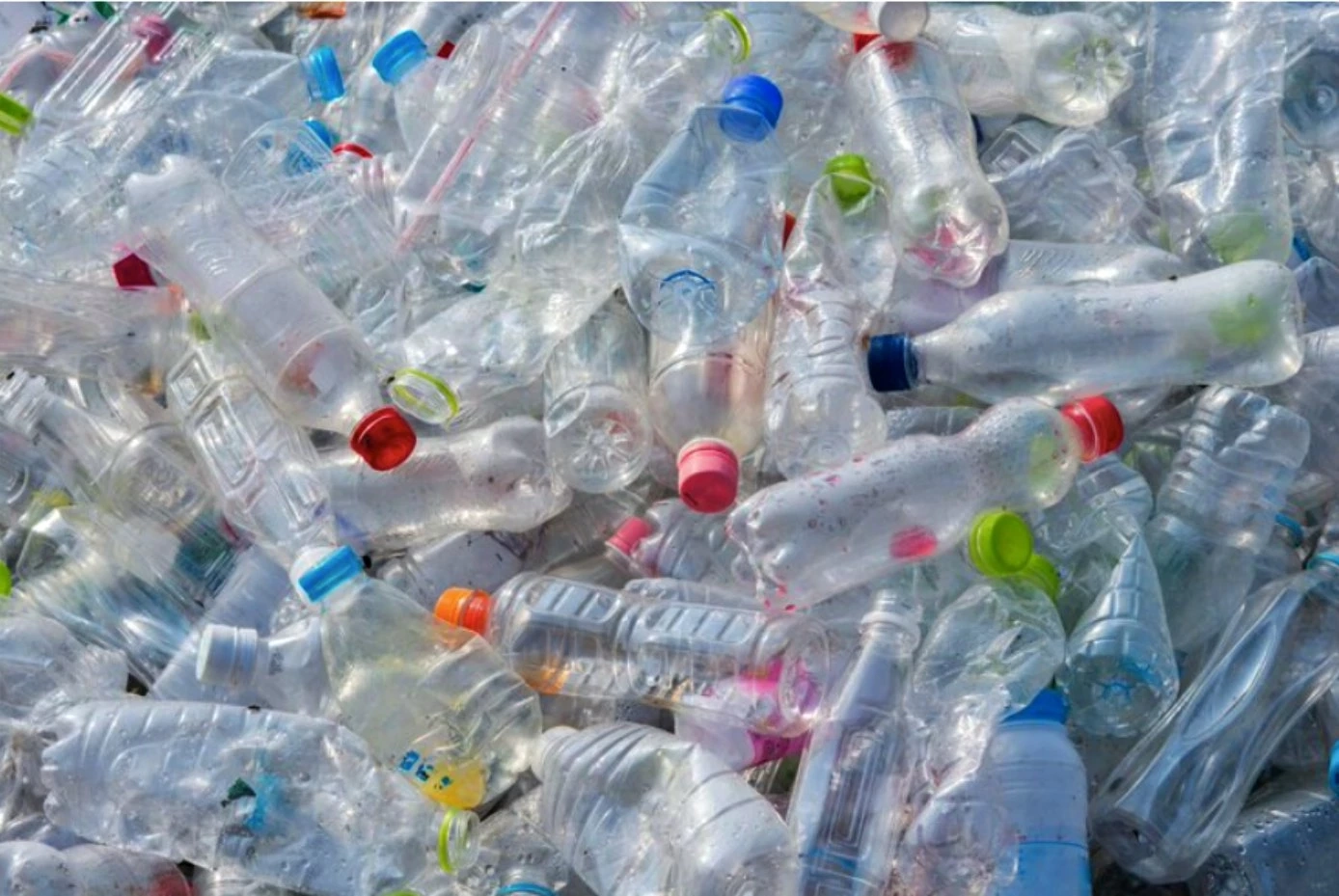 ไม่ต้องรอ 100 ปี! นักวิจัยออสเตรเลียพบเชื้อราลดเวลาย่อยพลาสติกได้ใน 140 วัน