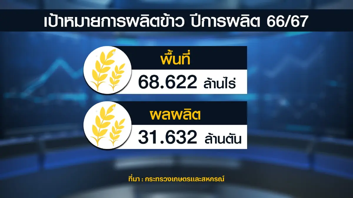 เกษตรฯตั้งเป้าหมายผลิต 'ข้าว' 31.6 ล้านตัน
