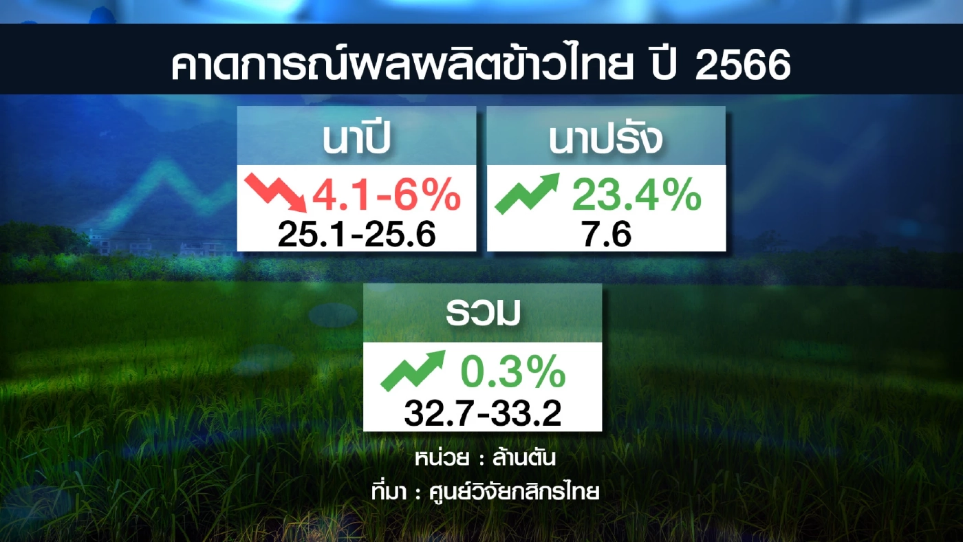 หวั่น 'เอลนีโญ' ฉุดผลผลิตข้าวของไทยลดลง