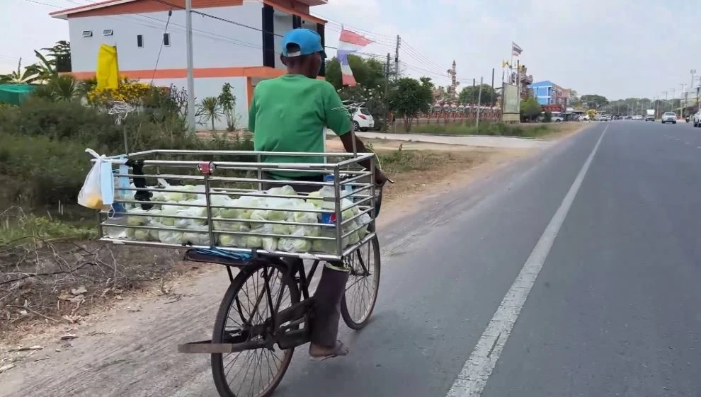 สู้ชีวิต คุณตา วัย 68 ปี ปั่นจักรยานขายฝรั่ง วันละ 160 กม. ทั่ว จ.ศรีสะเกษ