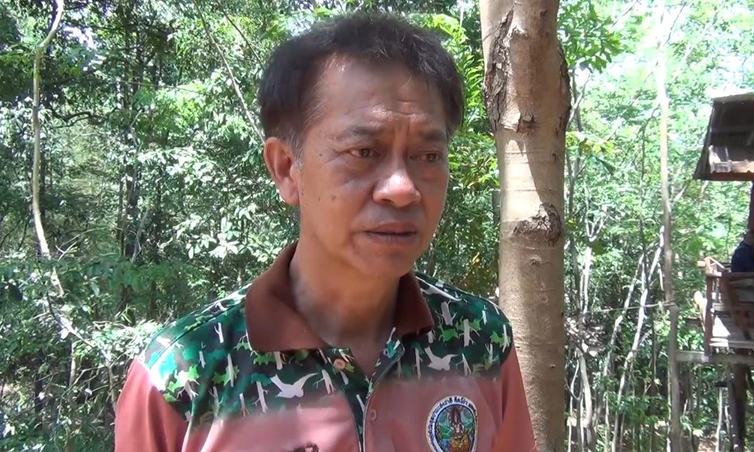 It's beautiful!  30 robbers invaded and robbed the middle of the Siamese rosewood.  From the Botanical Garden, Roi Et Province