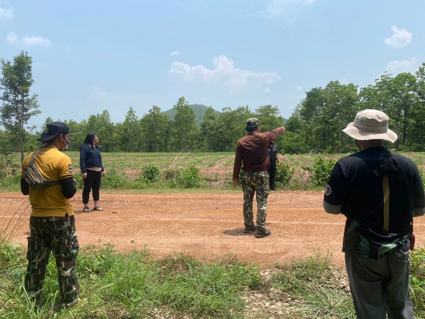 "ช้างป่าภูหลวง" แตกโขลง กระจายหากิน 3 จังหวัด เจ้าหน้าที่เร่งผลักดันกลับป่า