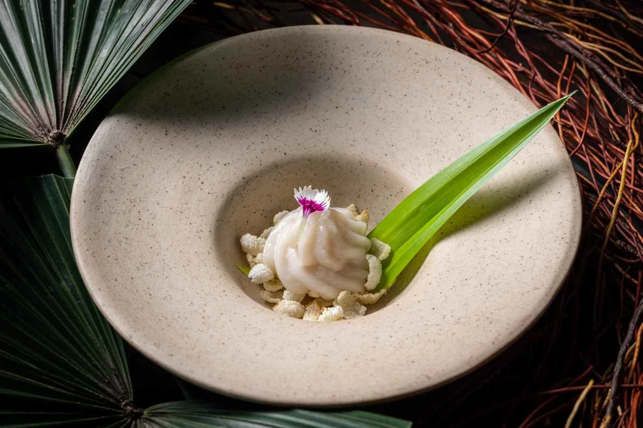 Thai Rice Journey ลิ้มรสข้าวดีจาก 8 จังหวัดของประเทศไทย