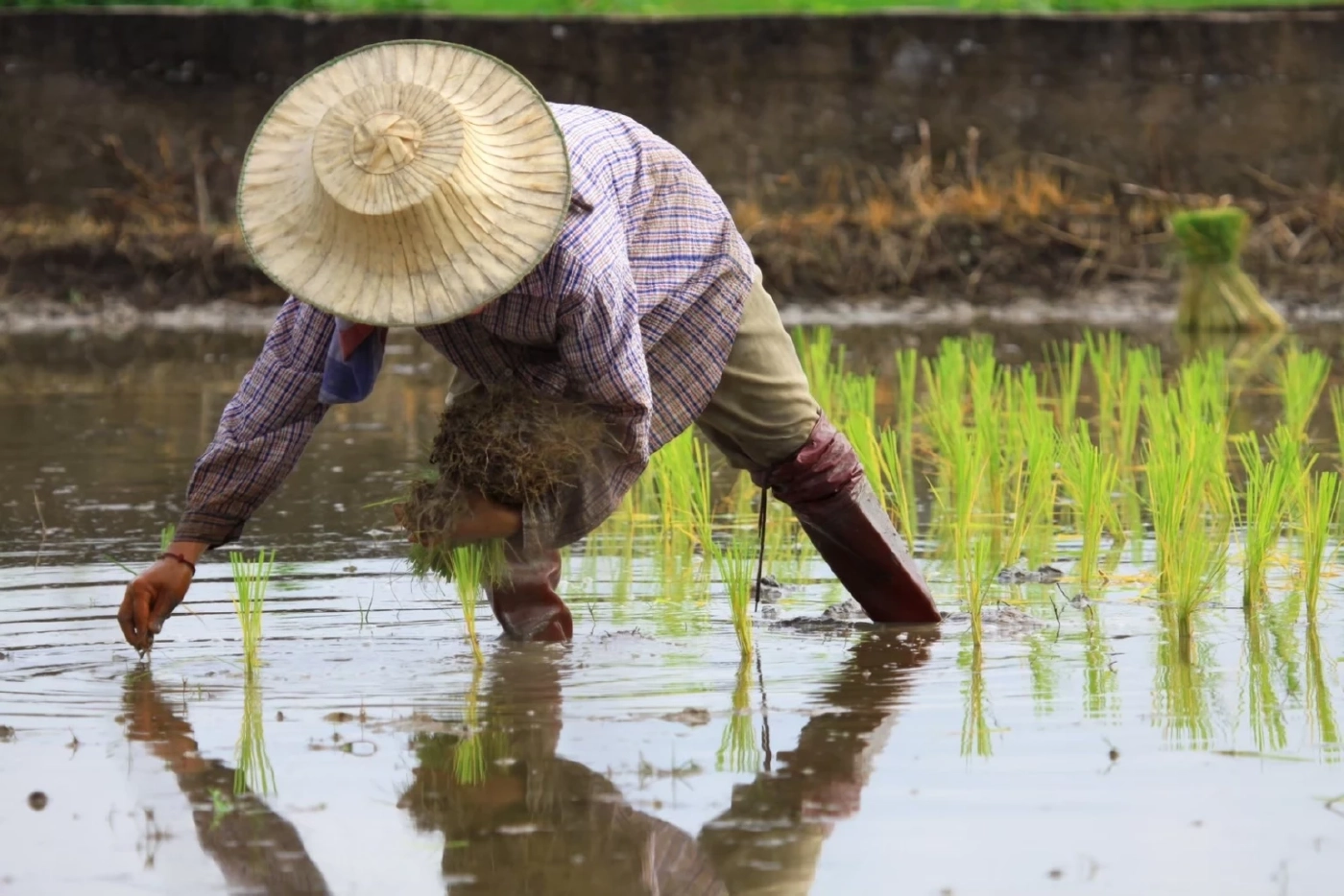 เริ่มแล้ว! ธ.ก.ส. เปิดแก้หนี้นอกระบบ เช็กเงื่อนไข พร้อมใช้เอกสารอะไรบ้าง