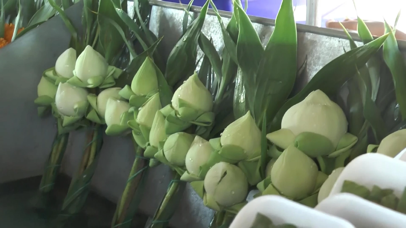 ร้านดอกไม้เมืองอุทัยฯ สั่งดอกบัวจาก จว.อื่น เพิ่มขึ้นหลายเท่า รับ "วันวิสาขบูชา"