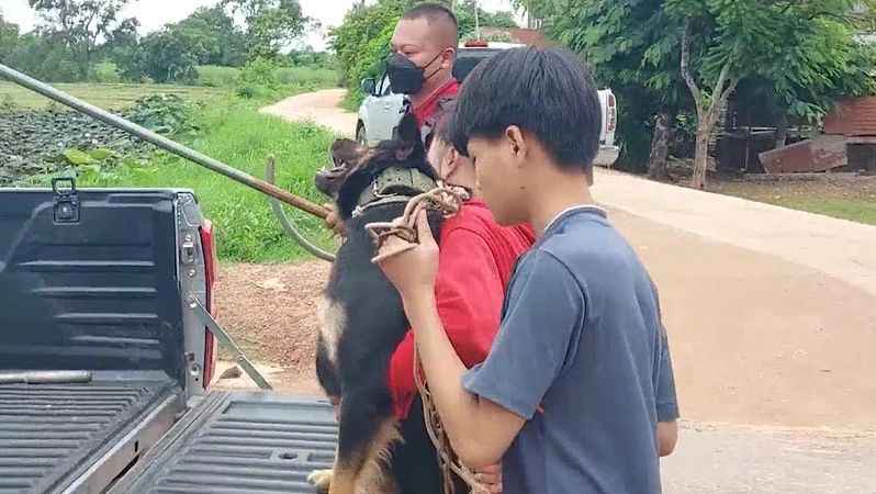 เมียสุดทน หอบลูก-หมาคู่ใจ หนีผัวติดยา หลังพี่สาวแจ้ง ตร.ช่วยพ้นขุมนรก