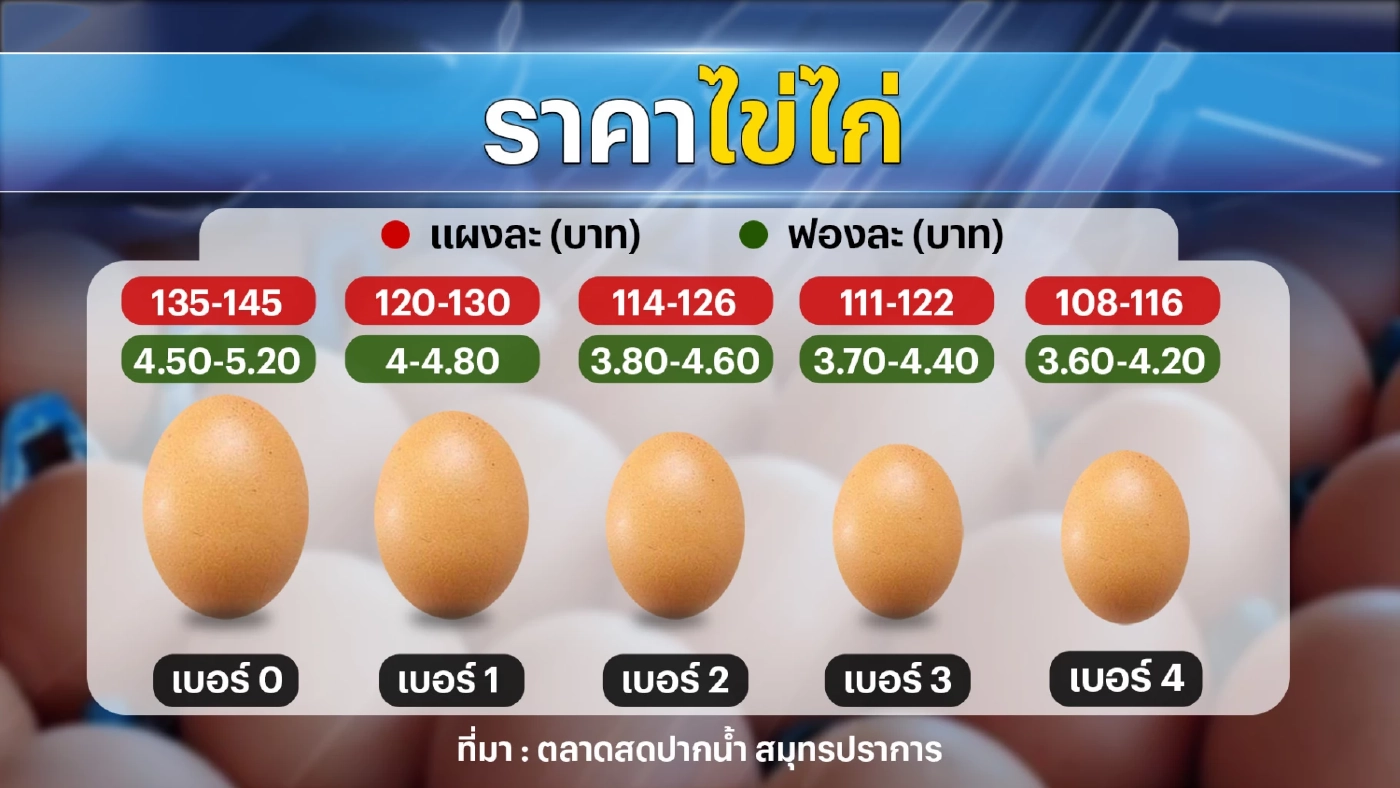 แม่ค้าโอดราคาไข่พุ่งสูงประวัติการณ์ทำยอดขายร่วง