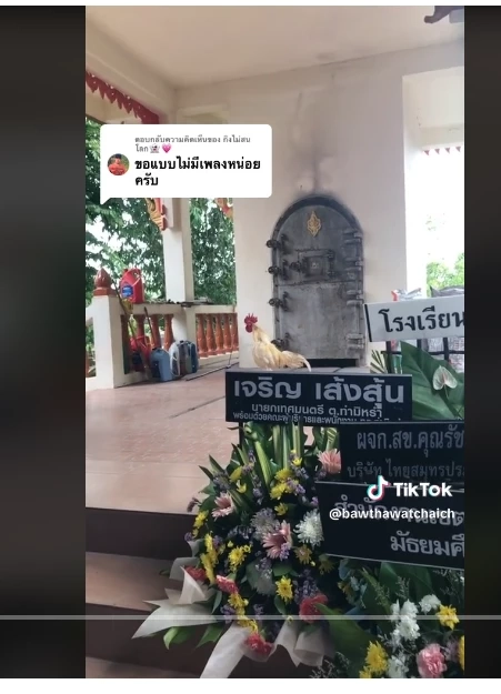 ไก่ชนตัวโปรด วิ่งขึ้นเมรุงานศพเจ้าของ ทำแขกและญาติสุดเศร้า ร้องกันระงม