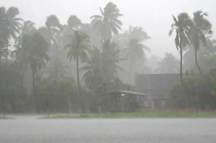 อุตุฯ เตือน ฝนฟ้าคะนองทั่วไทย ร้อยละ 60 ของพื้นที่ เช็กพื้นที่เสี่ยงภัยที่นี่   