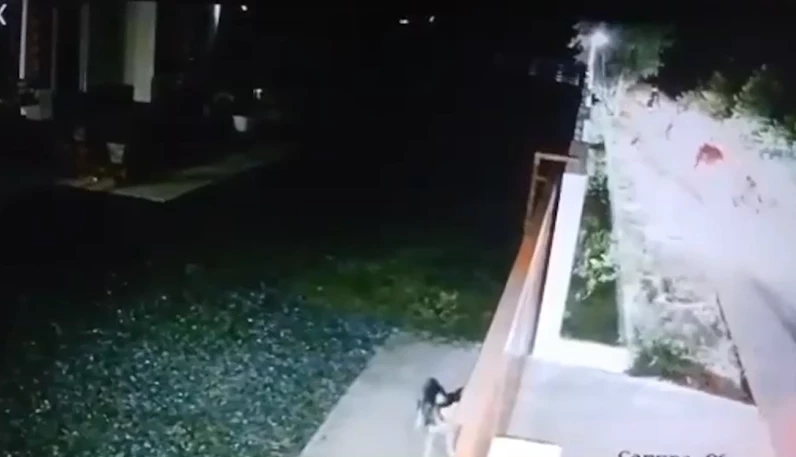 เปิดคลิป แก๊งโจ๋สุรินทร์ ซ่าเต็มคาราเบล ยกพวกปาระเบิดถล่ม 3 หมู่บ้านกลางดึก