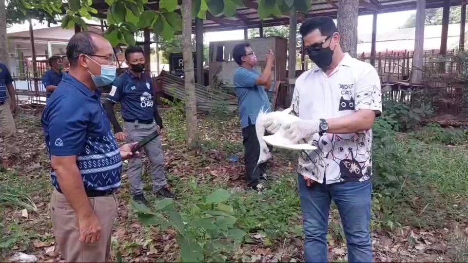 ครู-นร.เดือดร้อนหนัก นกกระยางขาวยึดหลังโรงเรียน ขี้นกเกลื่อน หวั่นแพร่โรค