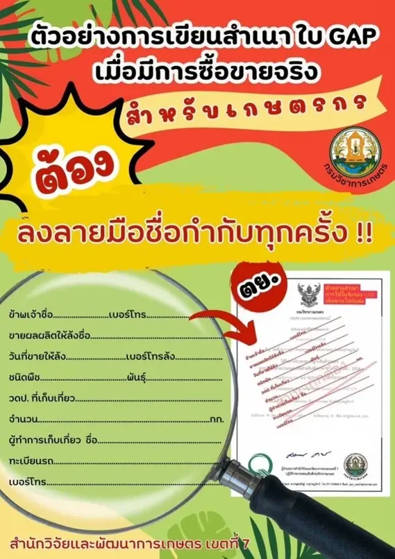 อธิบดีกรมวิชาการเกษตร สั่งแบน “ล้ง - ชิปปิ้ง” เซ่น GAP สวมสิทธิ์