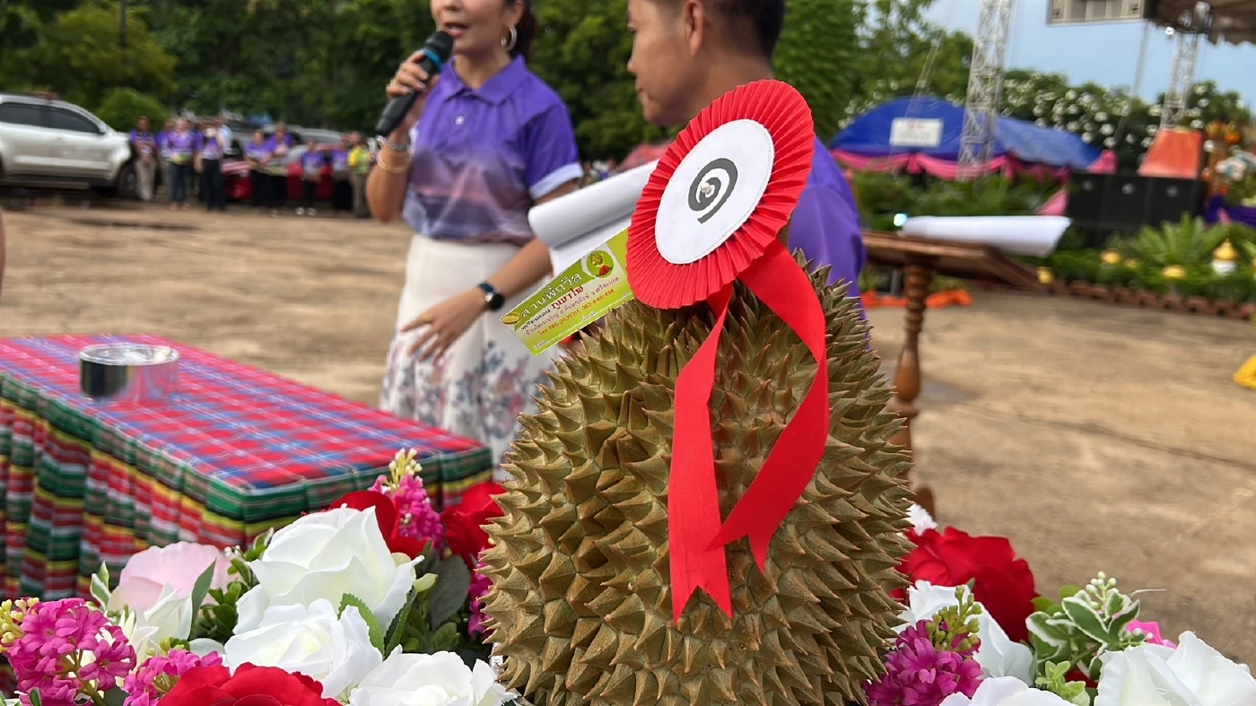 ฮือฮา! "ทุเรียนภูเขาไฟศรีสะเกษ" ปิดประมูลราคา ลูกละ 1 แสนบาท
