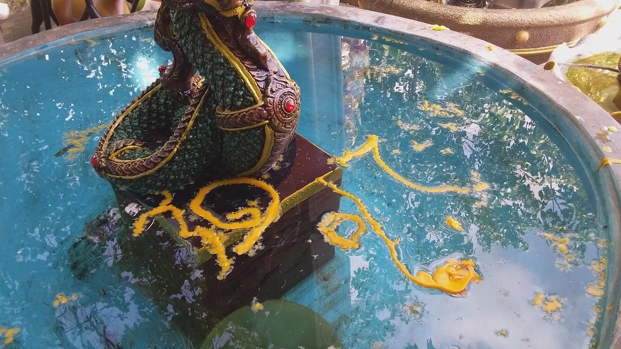 รวมเลขเด็ดเลขดัง จัดให้จุกๆ หวยงวด16/6/66 ครบทุกสำนักดังมาแรง จัดไปเลยจ้า