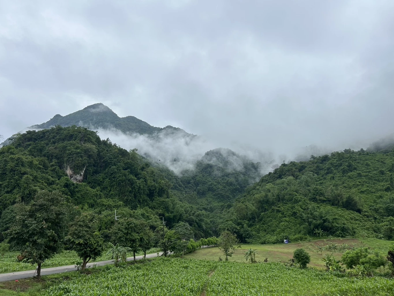 "ลุงกมล" เล่าความประทับใจ ร่วมภารกิจ "ผู้ว่าณรงค์ศักดิ์" ค้นหา 13 หมูป่า