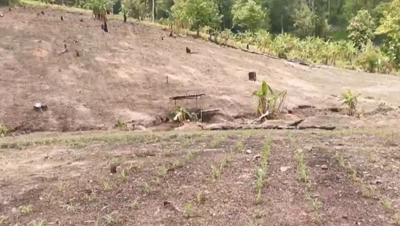 ปทส. สนธิป่าไม้ บุกยึดพื้นที่อดีตผู้นำชุมชน รุกป่าสงวน ไม่เกรงกลัวกฎหมาย