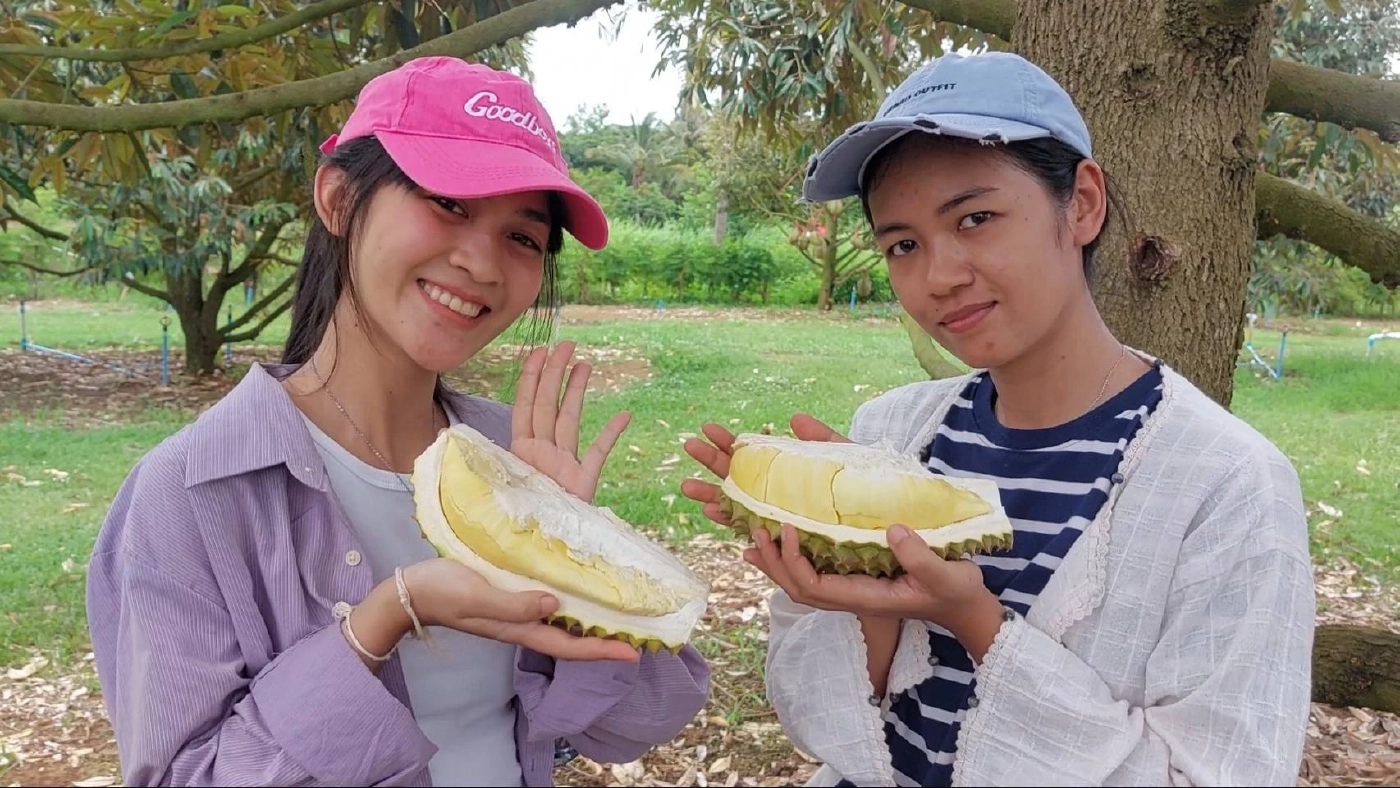 คึกคัก! นทท.แห่ชิมทุเรียนเสิงสาง ยอดขายวันละ 1 ตัน สร้างรายได้อย่างงาม