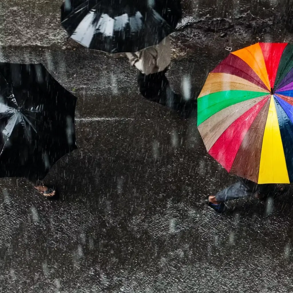 เตือน ภาคใต้ เหนือ ตะวันออกอ่วม!! รับมือฝนตกหนัก เช็กพื้นที่เสี่ยง ได้ที่นี่