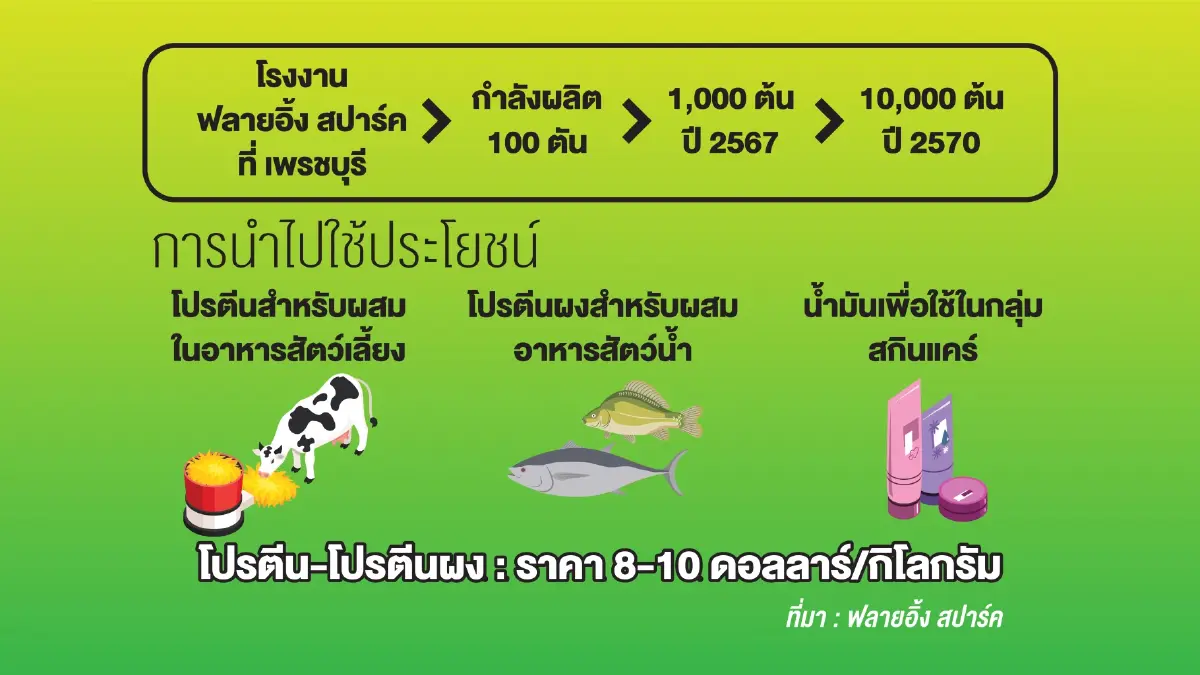 'หนอนมะม่วง' โปรตีนอนาคต! ทางรอดของมนุษย์