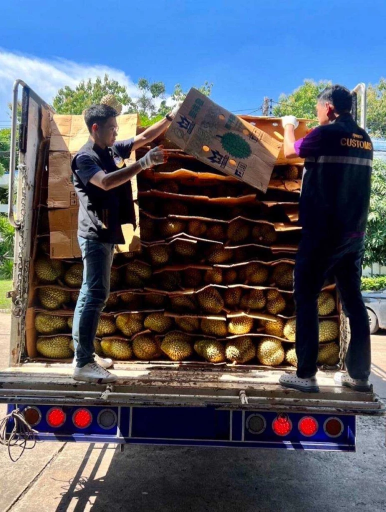 ต้องรู้!! ทุเรียนหนึ่งลูกส่งออกได้อย่างไร ภายใต้ข้อตกลงทางการค้าไทยจีน