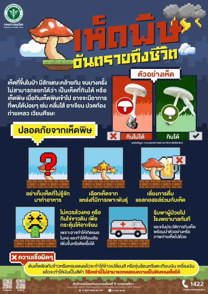 เขตสุขภาพที่ 9 เผย ยอดผู้ป่วยจากบริโภคเห็ดพิษพุ่ง 23 ราย ในช่วงไม่ถึงเดือน