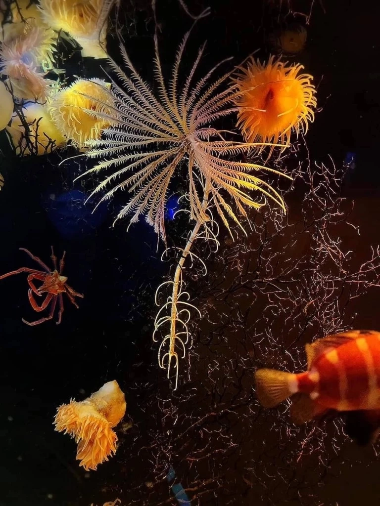 ไขข้อสงสัย 5คนในเรือดำน้ำไททัน จะรู้ตัวหรือไม่ เสี้ยววินาทีระเบิด