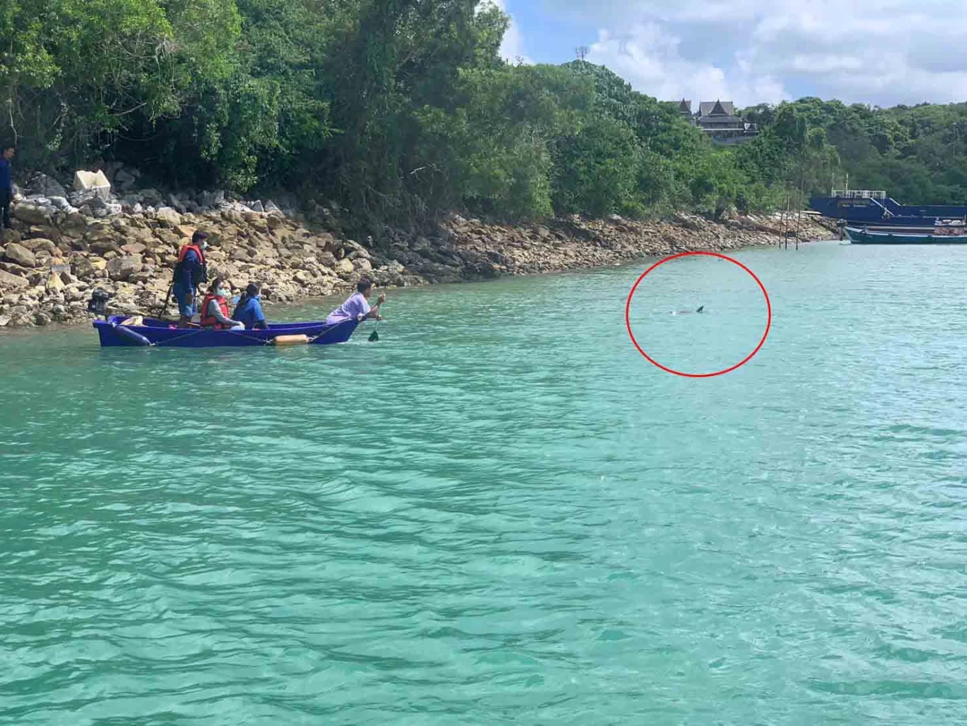 กรมทะเลชายฝั่ง ช่วยโลมาลายจุดเกยตื้น พบภาวะขาดน้ำ เฝ้าสังเกตอาการใกล้ชิด