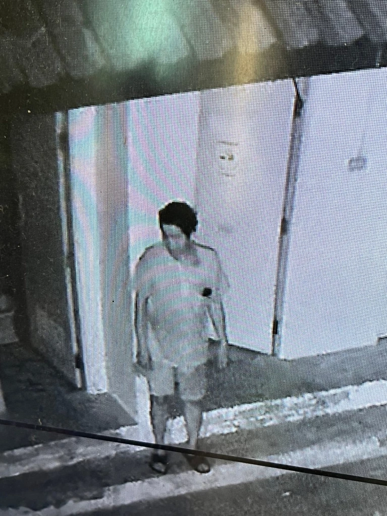 2 โจรแสบ ฉกเงินผ้าป่าวันวิสาขบูชา 2 วัดดังเมืองน่าน พฤติกรรมเดียวกันเป๊ะ