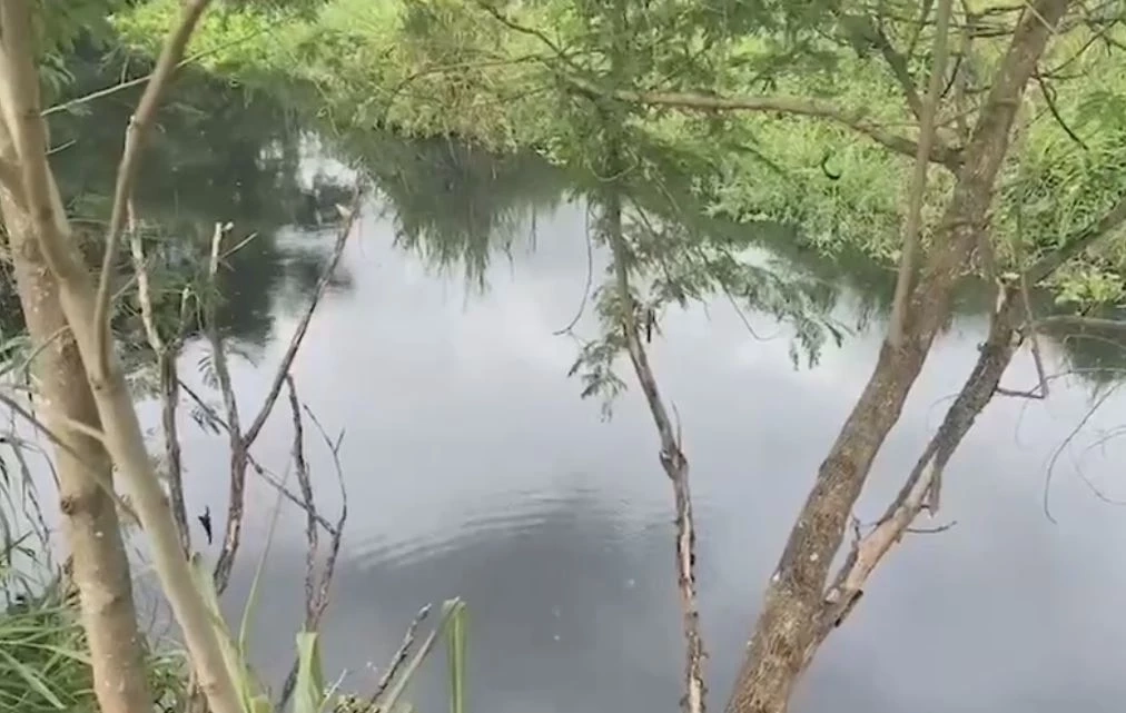 ชาวบ้านร้อง น้ำในลำคลองเน่าเสียส่งกลิ่นเหม็น มีปลาตาย วอนหน่วยงานตรวจสอบ