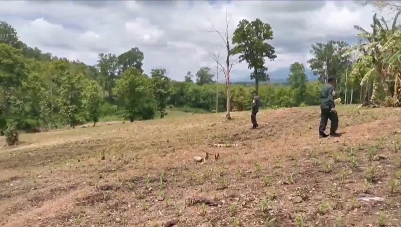 ปทส. สนธิป่าไม้ บุกยึดพื้นที่อดีตผู้นำชุมชน รุกป่าสงวน ไม่เกรงกลัวกฎหมาย