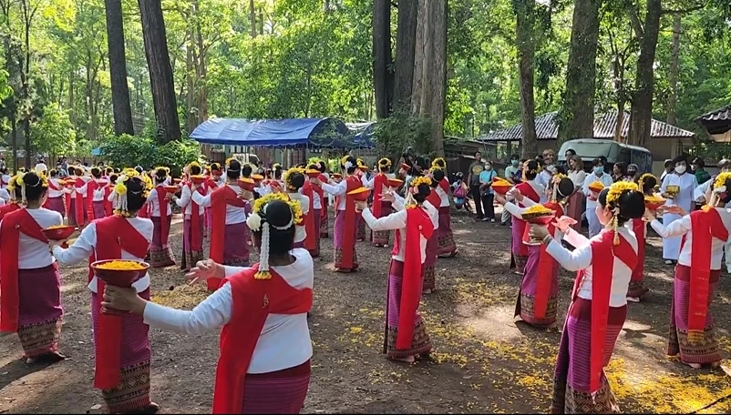สุดแปลก! ชาวเชียงใหม่ สืบสานประเพณี "เลี้ยงดง" ร่างทรงยักษ์กินเนื้อควายสด