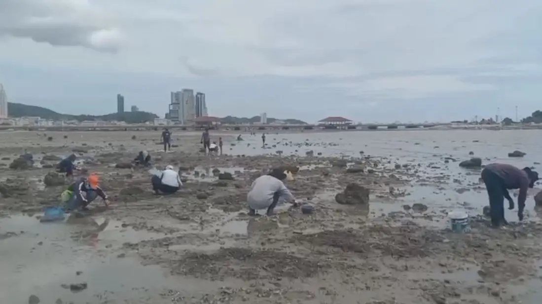 ชาวบ้านศรีราชา แห่เก็บหอยกระปุกริมชายทะเล ขายสร้างรายได้เสริม