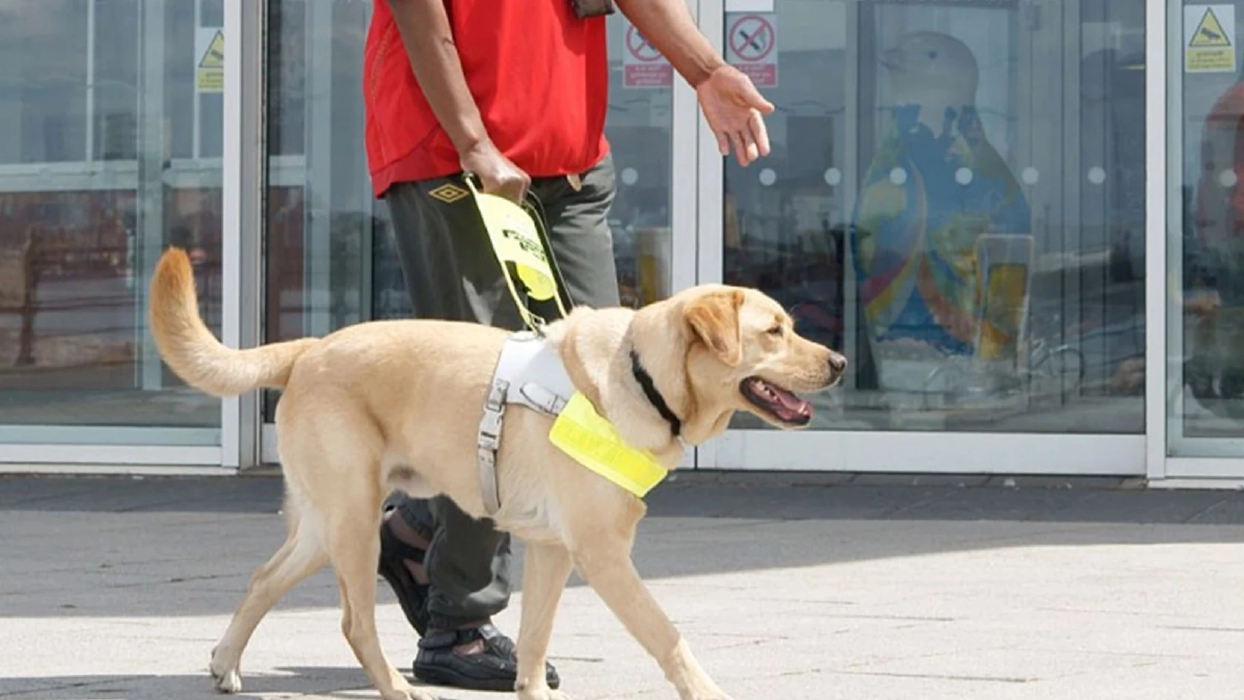 รู้จัก NextGuide ไม้เท้าอัจฉริยะ เพื่อช่วยนำทางคนตาบอดในยุค 2023