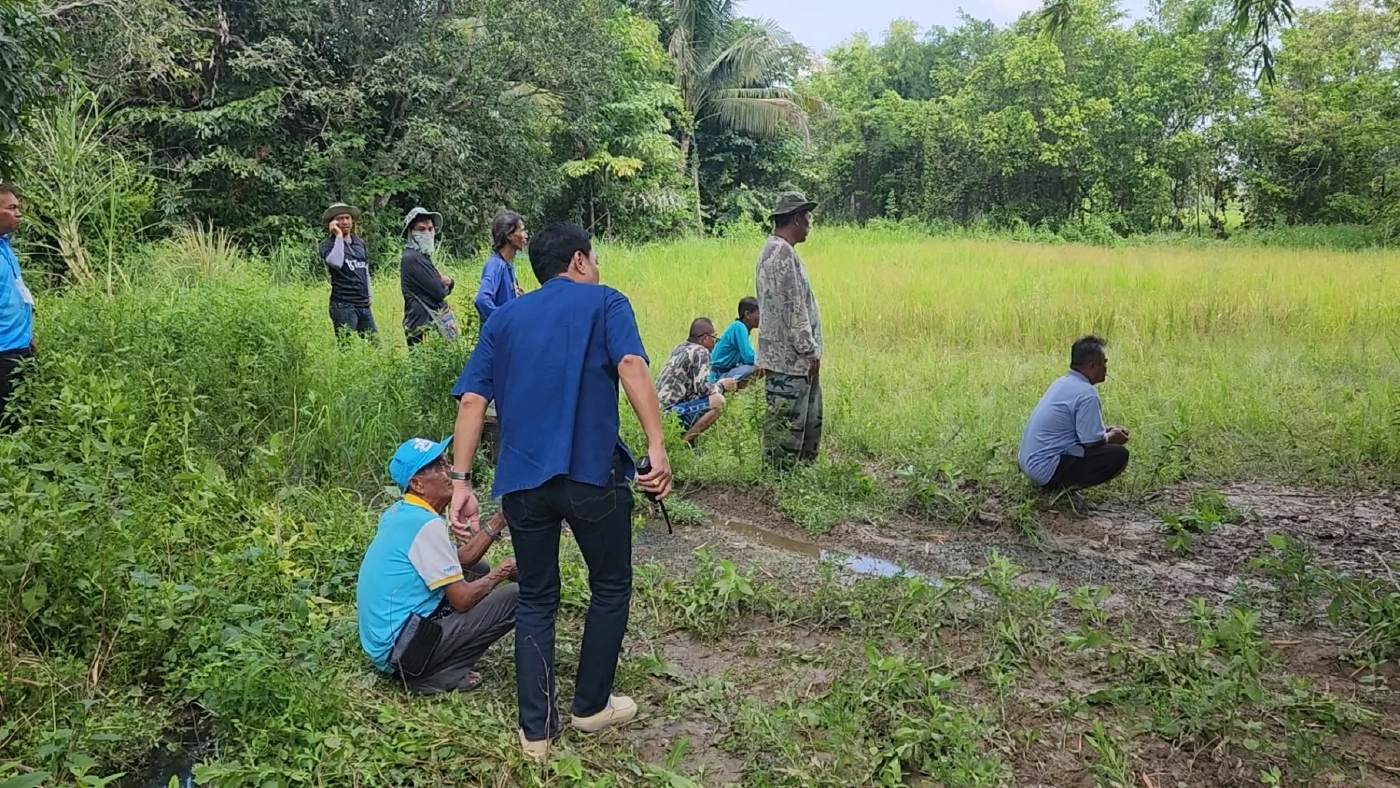 น่ารัก! "ช้างป่าเขาใหญ่" ลุยพื้นที่ชาวบ้าน ตามหาช้างเพื่อนซี้ ที่หลงทาง