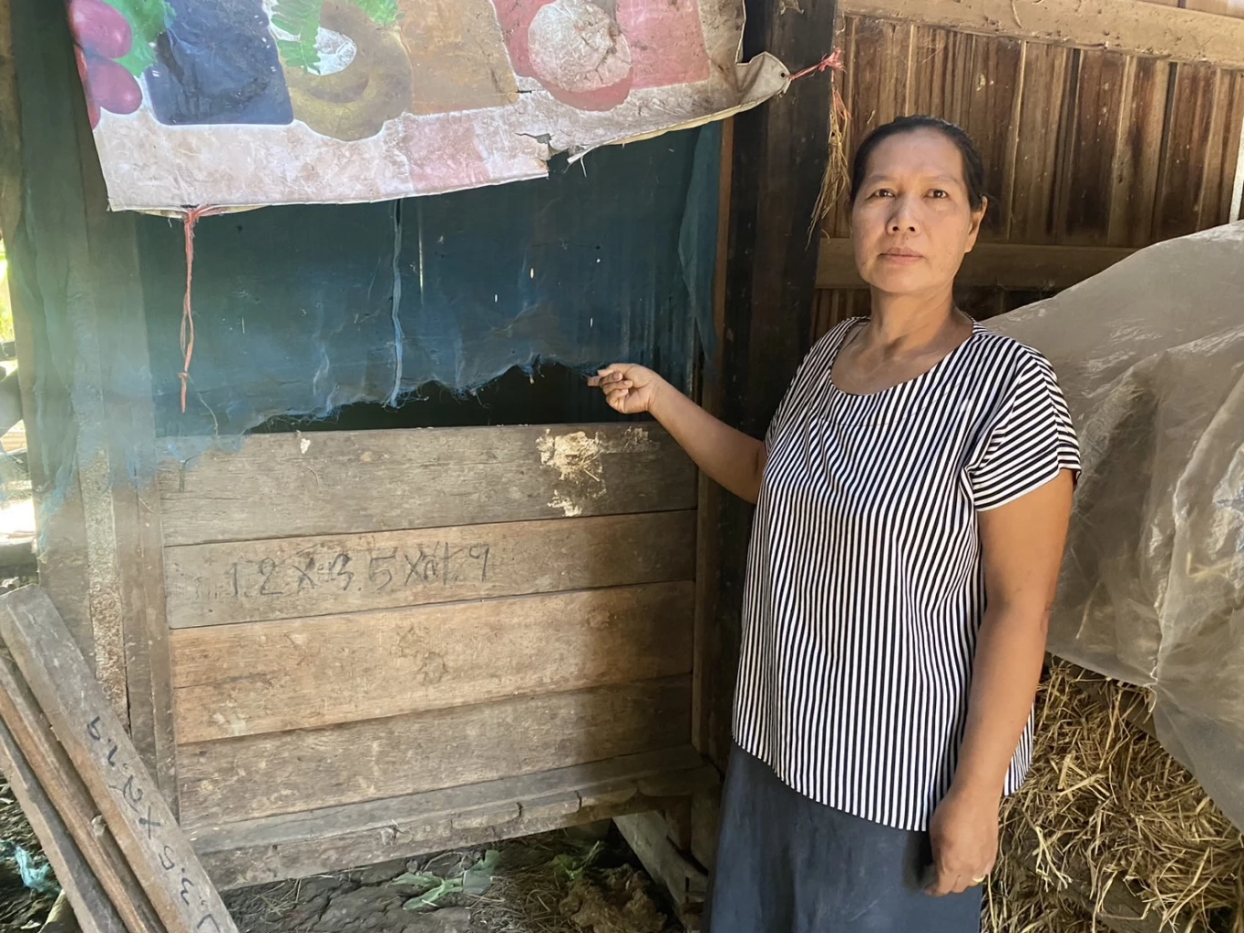 ทุกข์ชาวนา ครวญความเจ็บผ่าน"TikTok" โจรขโมยข้าวพันธุ์ทำนาเกลี้ยง (มีคลิป)