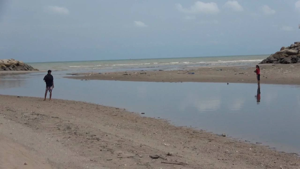 ผวาสารพิษ ปลาตายผิดธรรมชาติ เกลื่อนคลองระยอง เตือนนำไปทำอาหารต้องระวัง