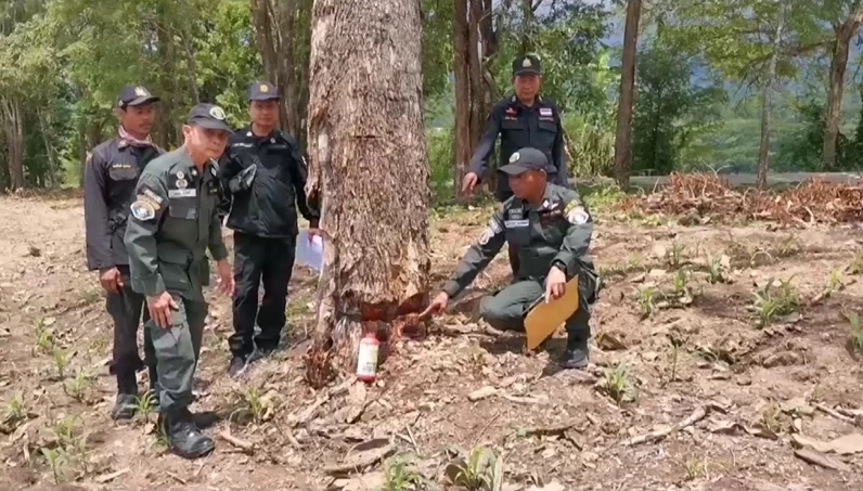 ปทส. สนธิป่าไม้ บุกยึดพื้นที่อดีตผู้นำชุมชน รุกป่าสงวน ไม่เกรงกลัวกฎหมาย