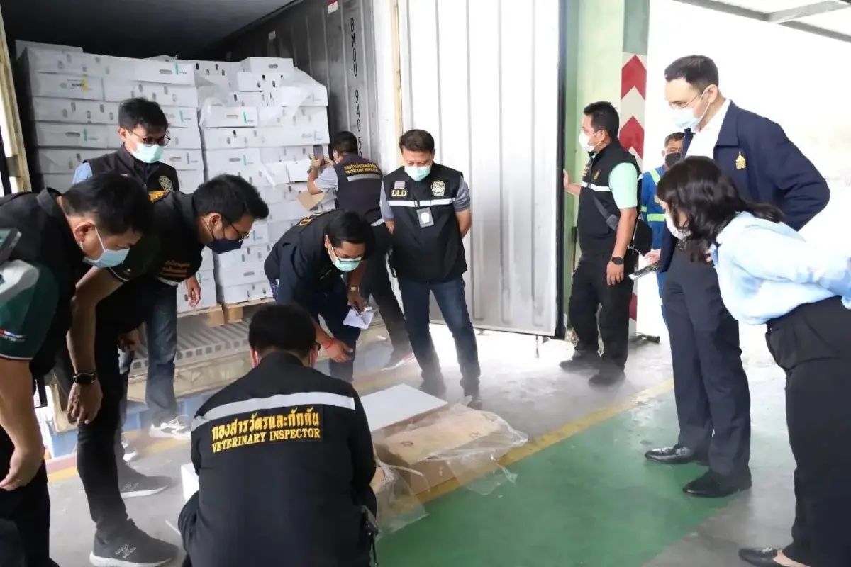 จับสัญญาณ"หมูเถื่อน" อยู่ๆก็สอบเสร็จ รวดเร็วดุจกามนิตหนุ่ม โดย "ขุนเกษตร"
