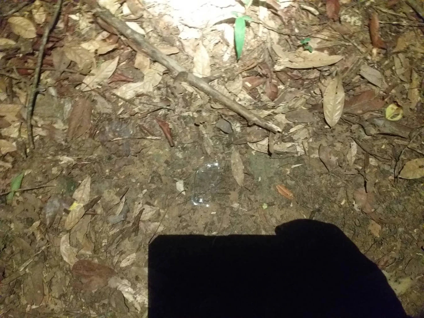 ระดมกำลังค้นหา 3 ชาวบ้านหลงป่าทับลาน-ยังไร้วี่แวว