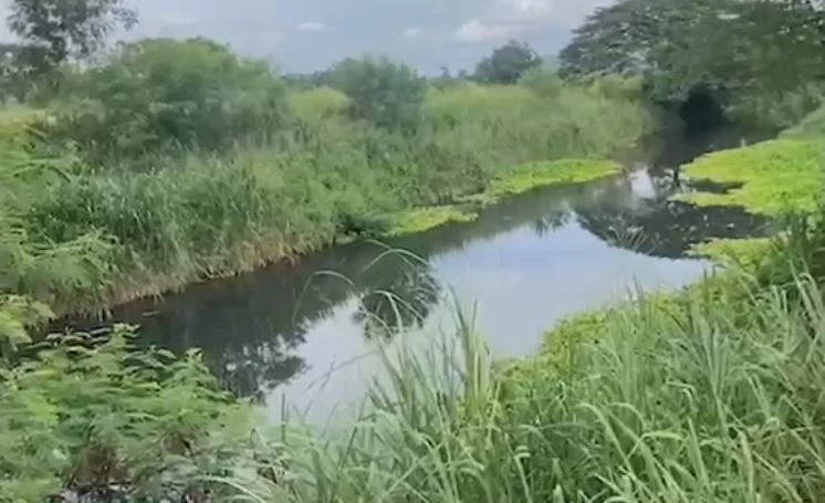 ชาวบ้านร้อง น้ำในลำคลองเน่าเสียส่งกลิ่นเหม็น มีปลาตาย วอนหน่วยงานตรวจสอบ