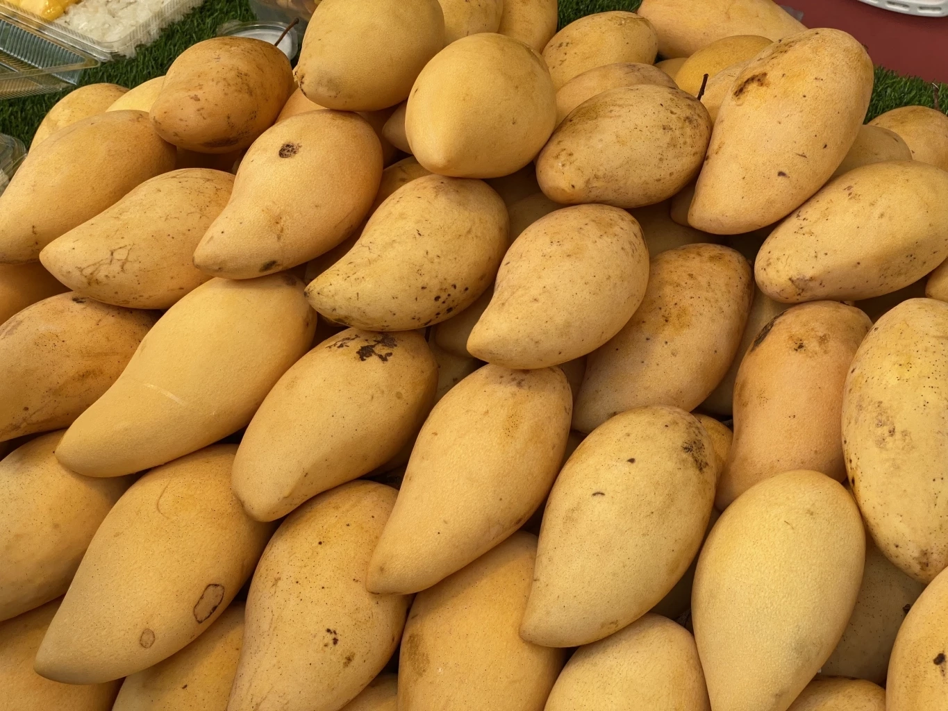 เปิดงานตลาดผลไม้ยอดฮิต ประจำฤดูกาล ช่วยเกษตรกร-กระตุ้นเศรษฐกิจเมืองพัทยา